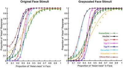 Disrupted visual input unveils the computational details of artificial neural networks for face perception